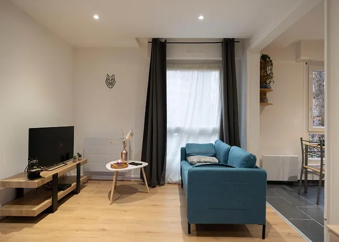 Apartment Chez Loic Bischheim